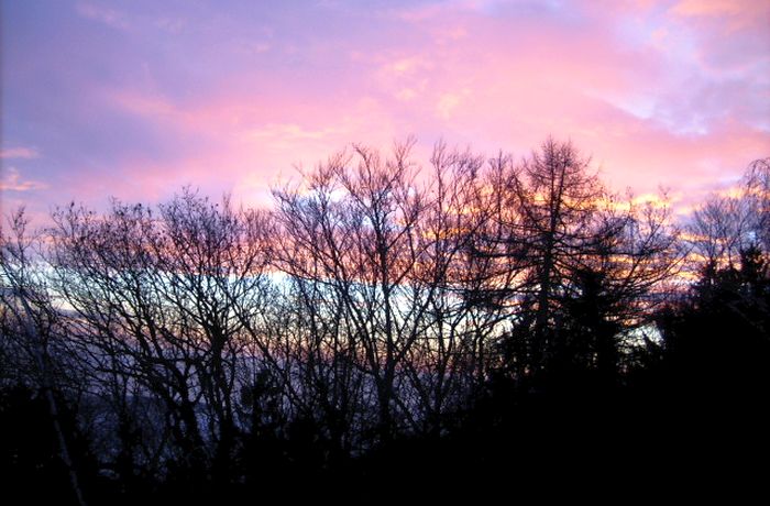 Morgenstimmung