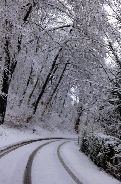 Schnee am Donnersberg